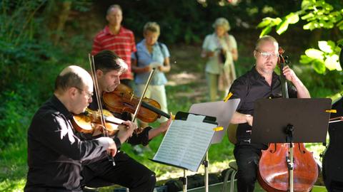 Wandelkonzert Gustavsgarten - Galerie -28