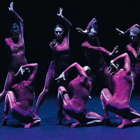 Dresden Frankfurt Dance Company