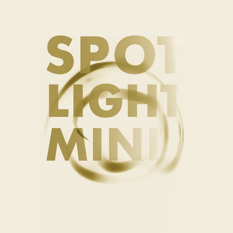 Spotlight-Mini